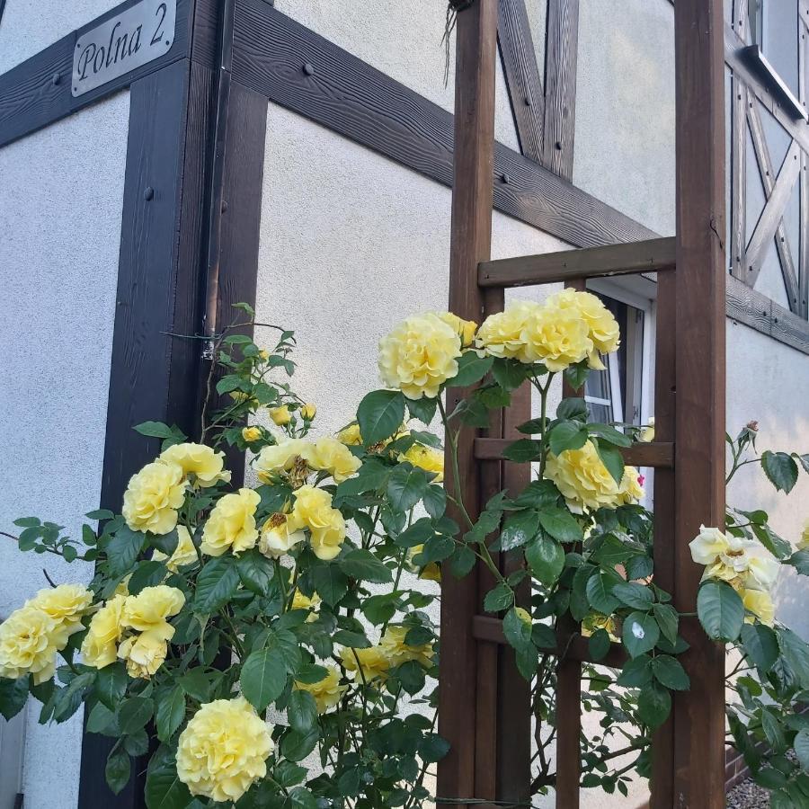 Nadmorskie Apartamenty 乌斯特卡 外观 照片